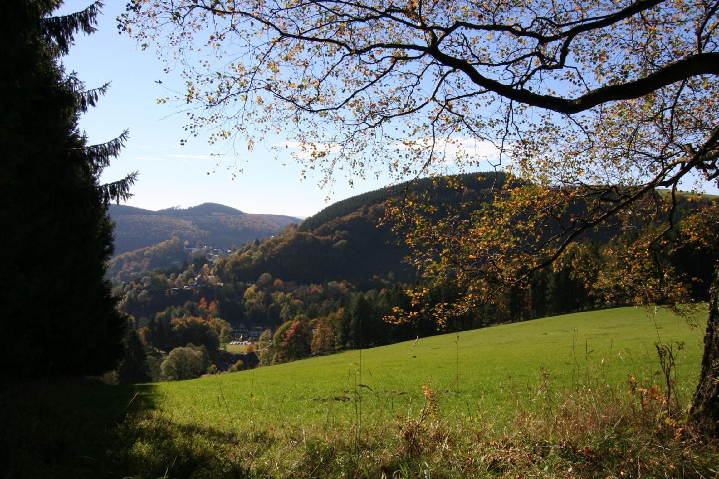 Photo 46