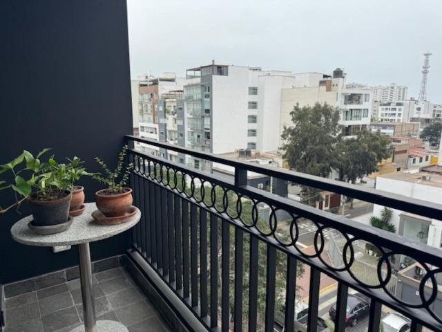 Tovar 511 Miraflores view 2