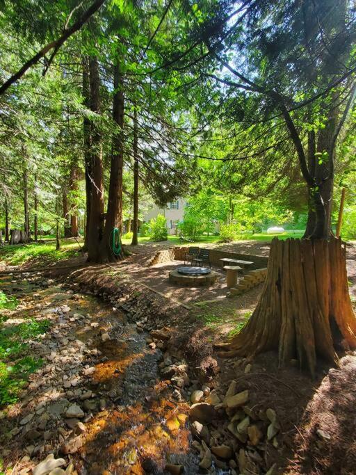 Ahrs Creek Retreat In the Timber