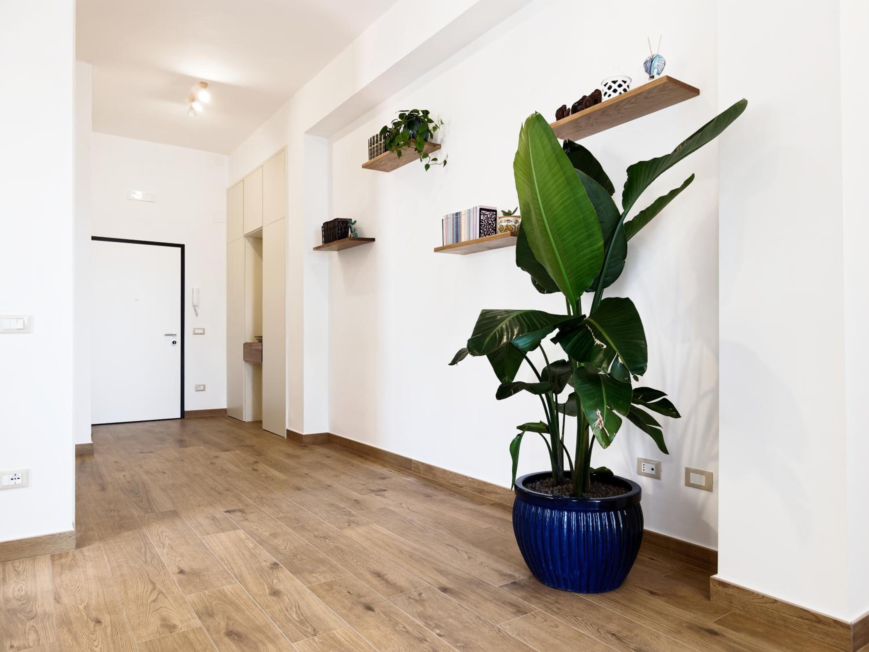 Susanna Boutique Home