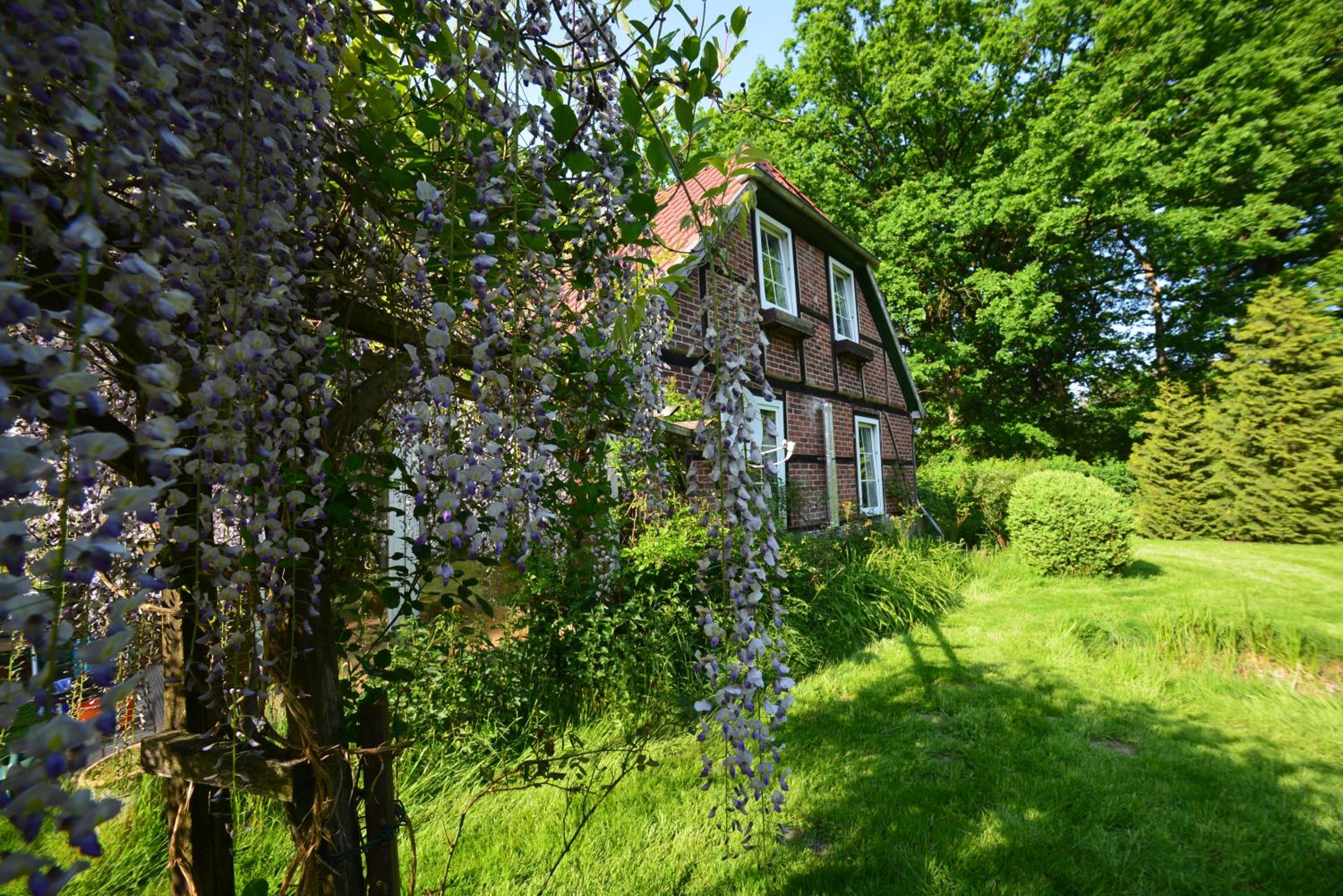 Haus im Grünen