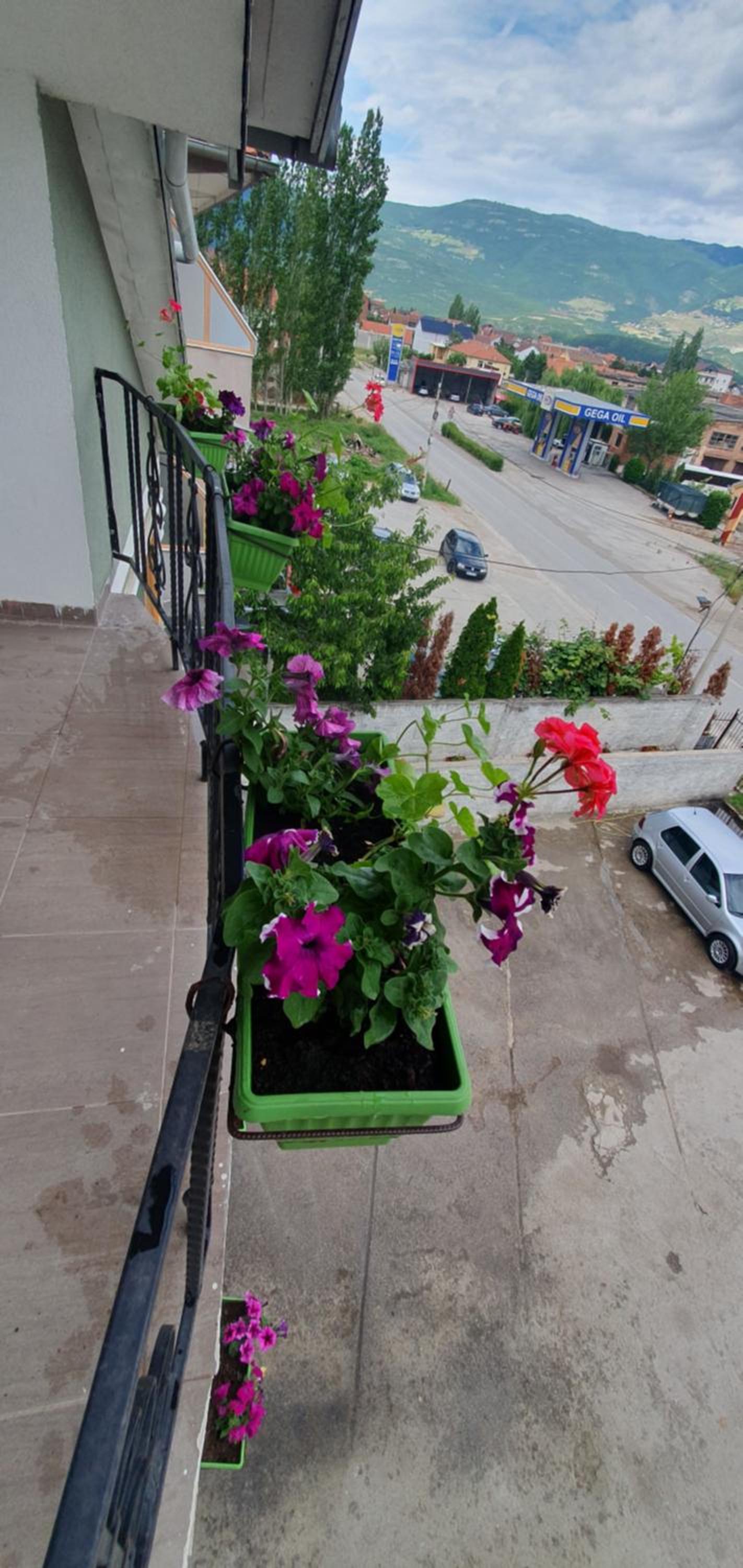 ARBI GUEST House