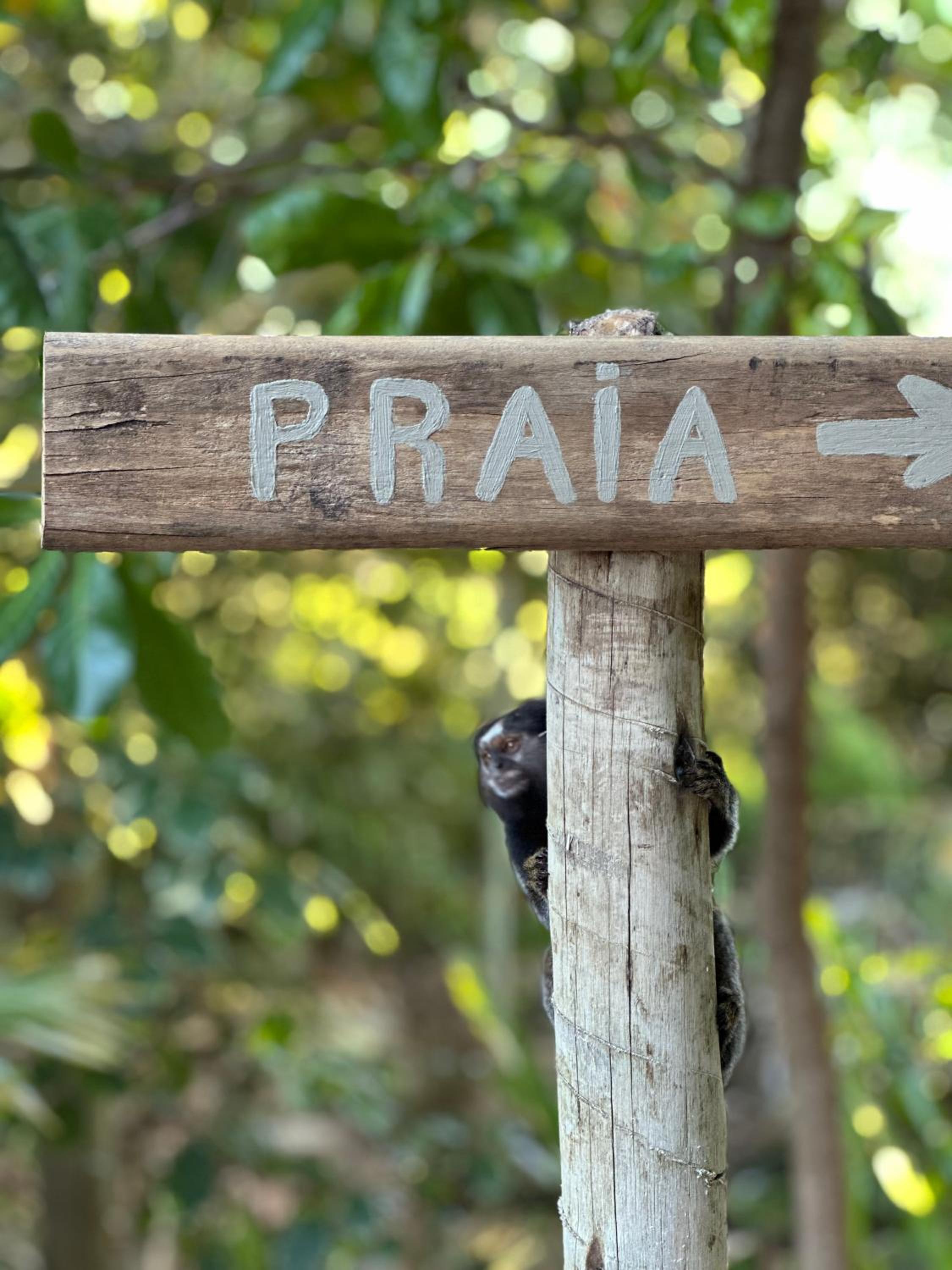 Casa Na Brisa