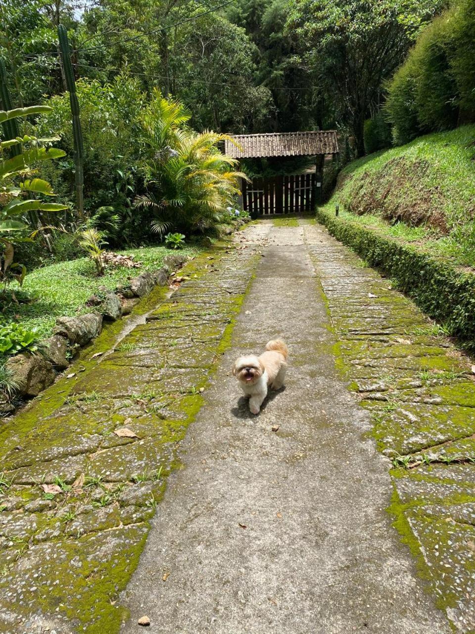 Refúgio Tranquilo na Natureza com Casa de Festas: Perfeito para Família e Amigos