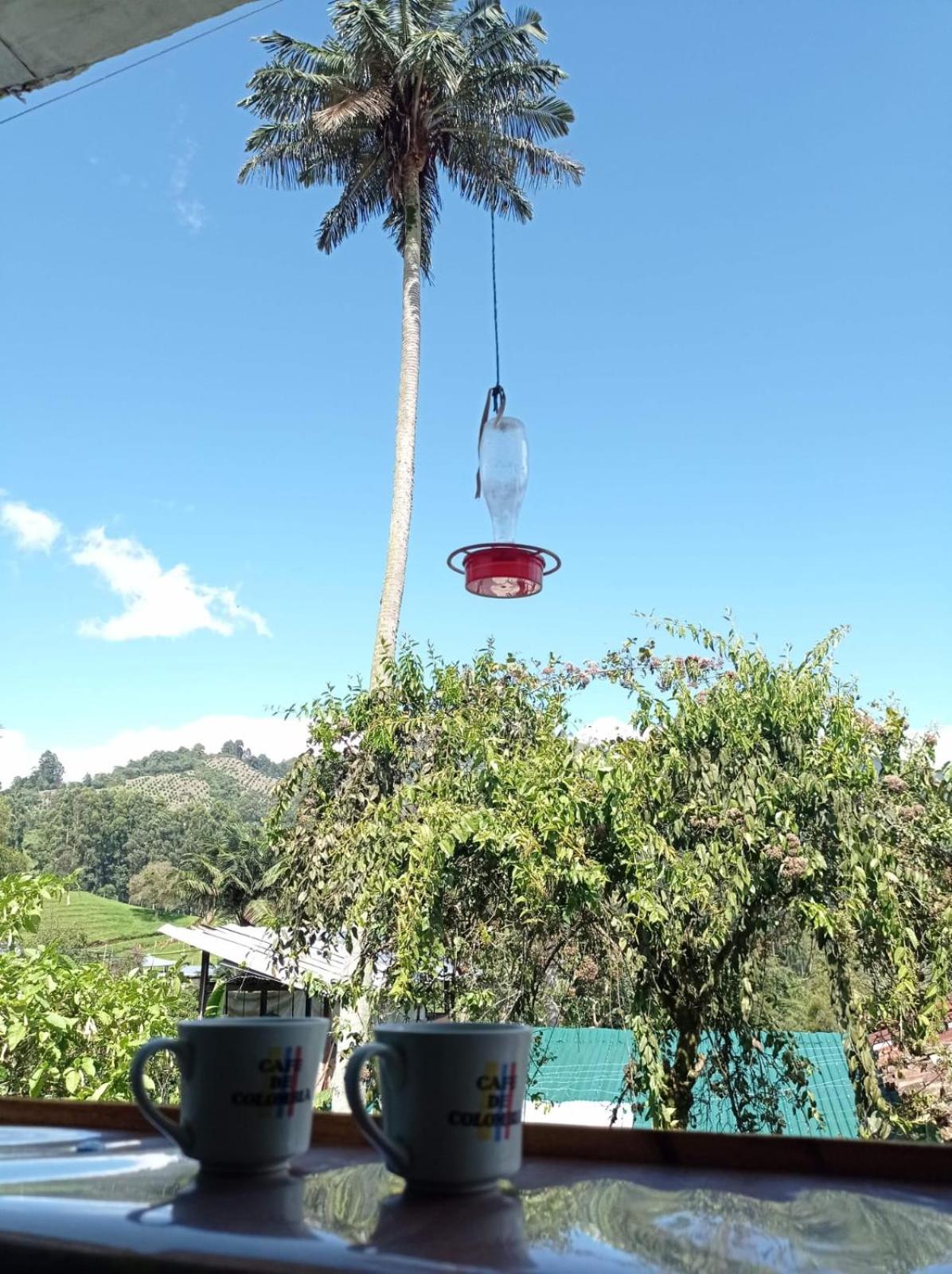 hostal combi