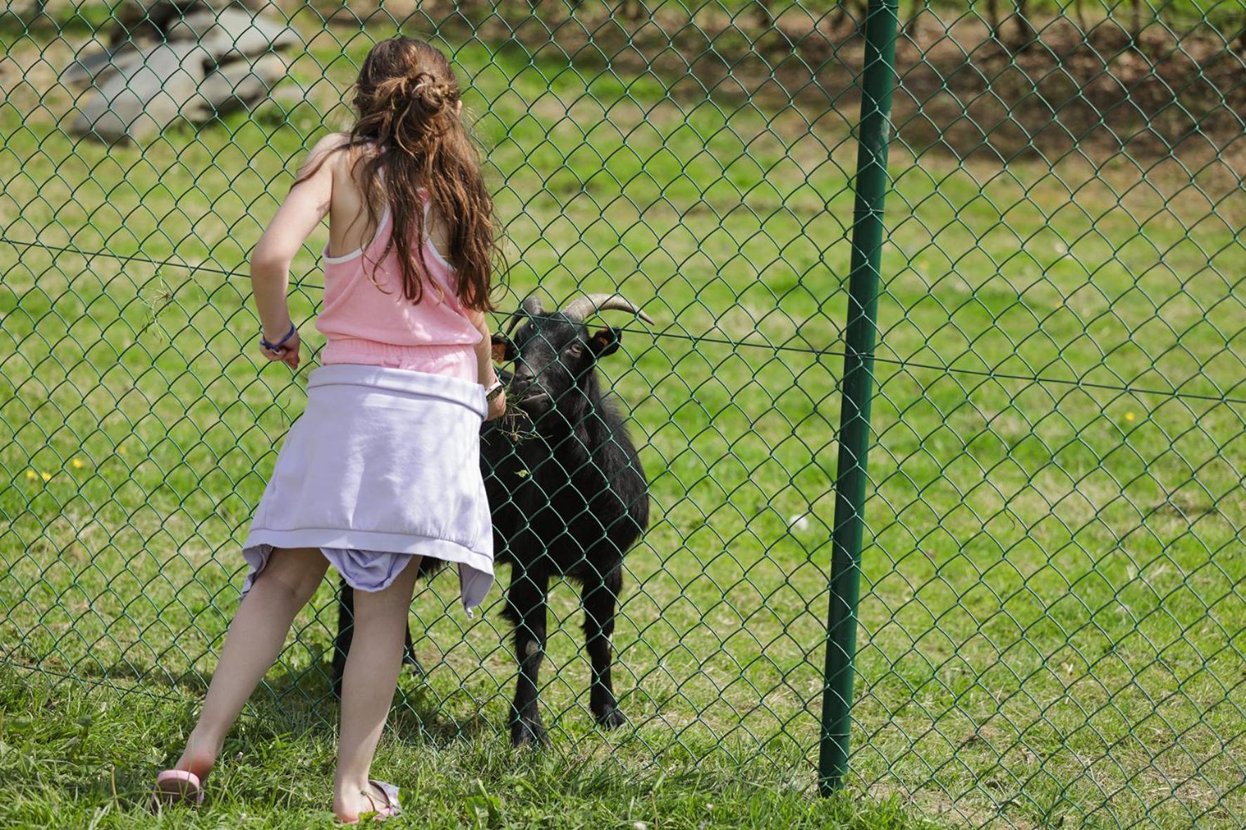 Camping Le Florenville