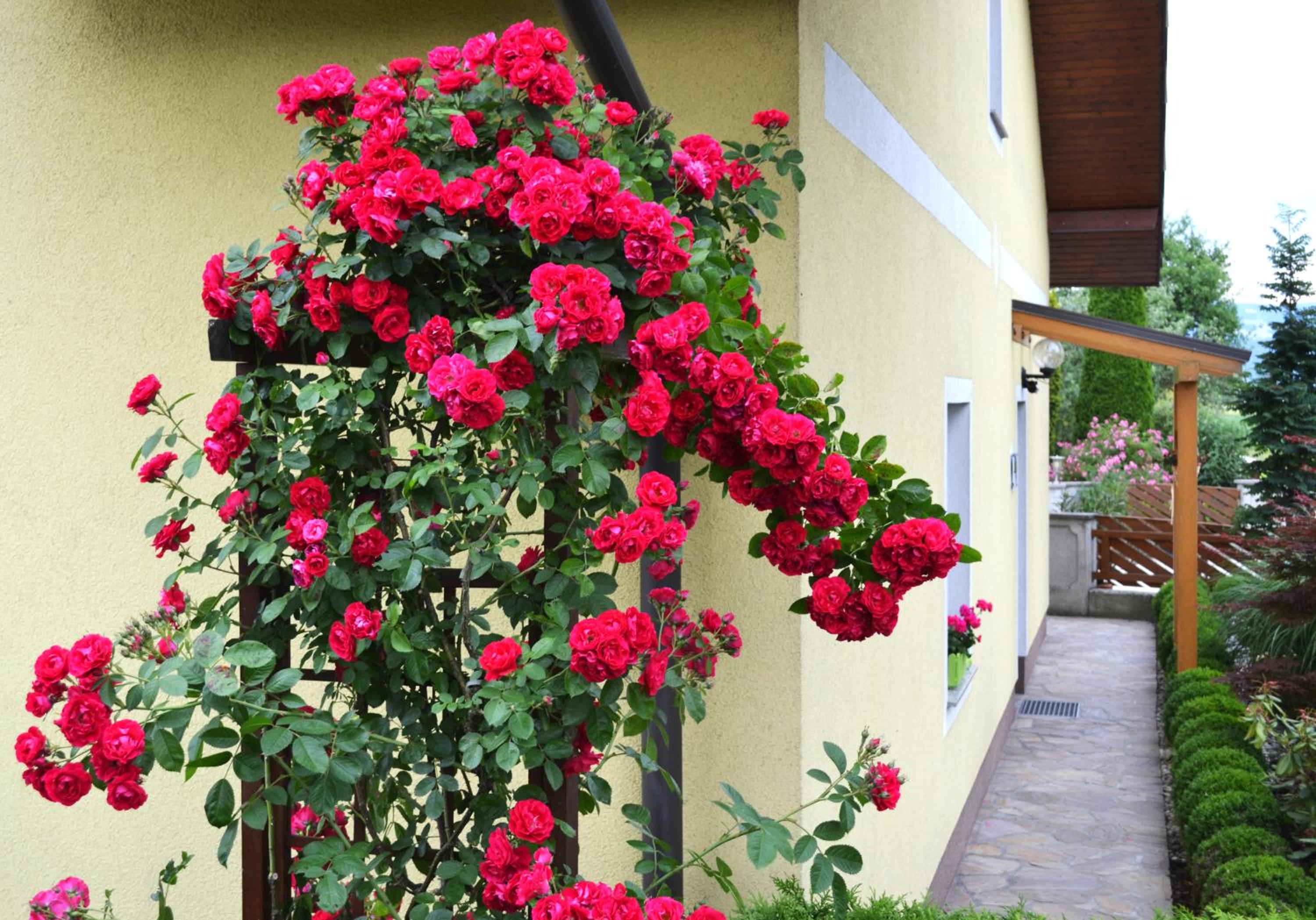 Privatzimmer und Ferienwohnungen Leeb