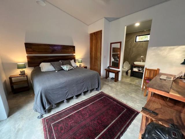 Pochote River house