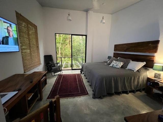 Pochote River house