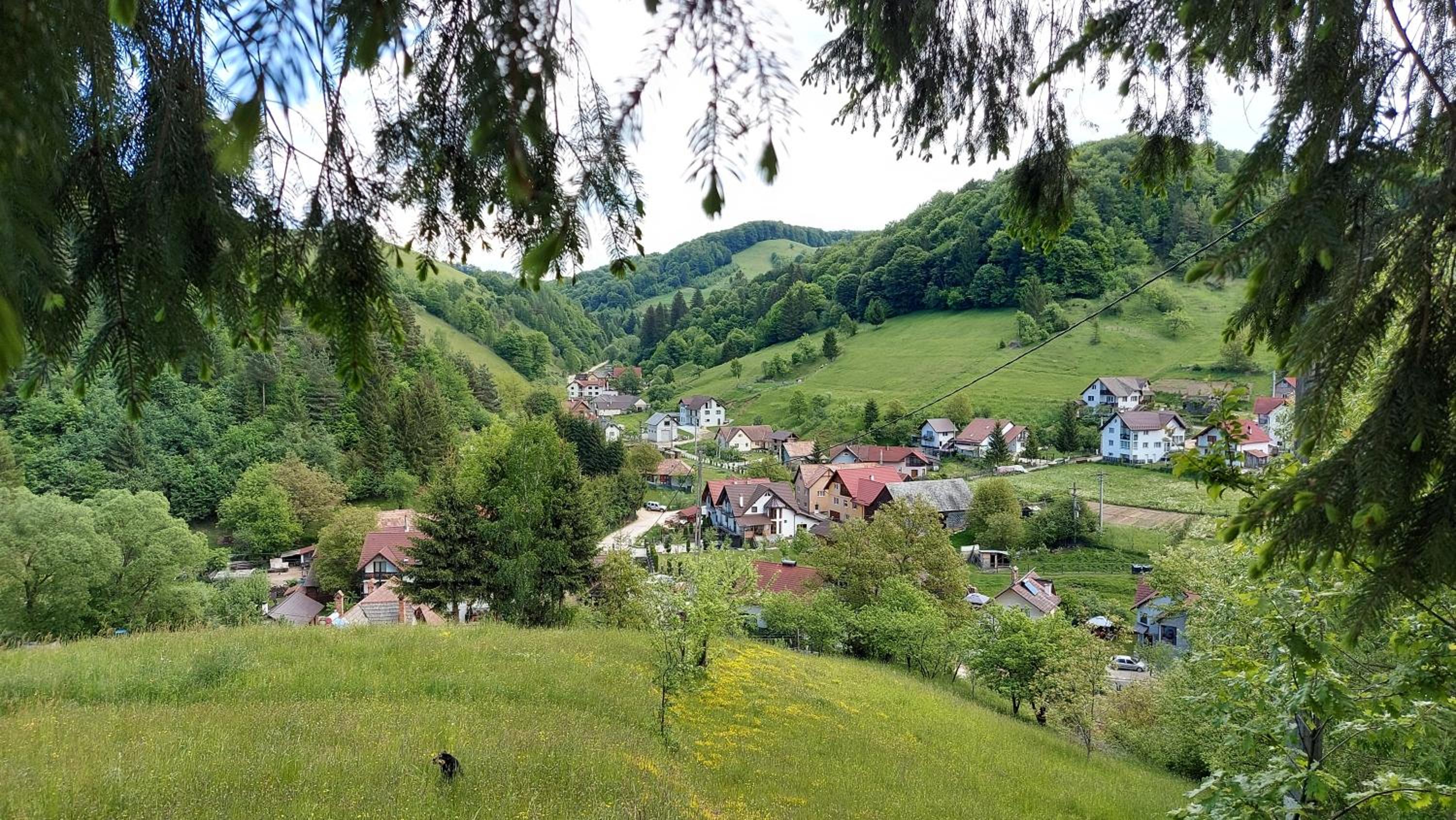 Casa Ioana view 5
