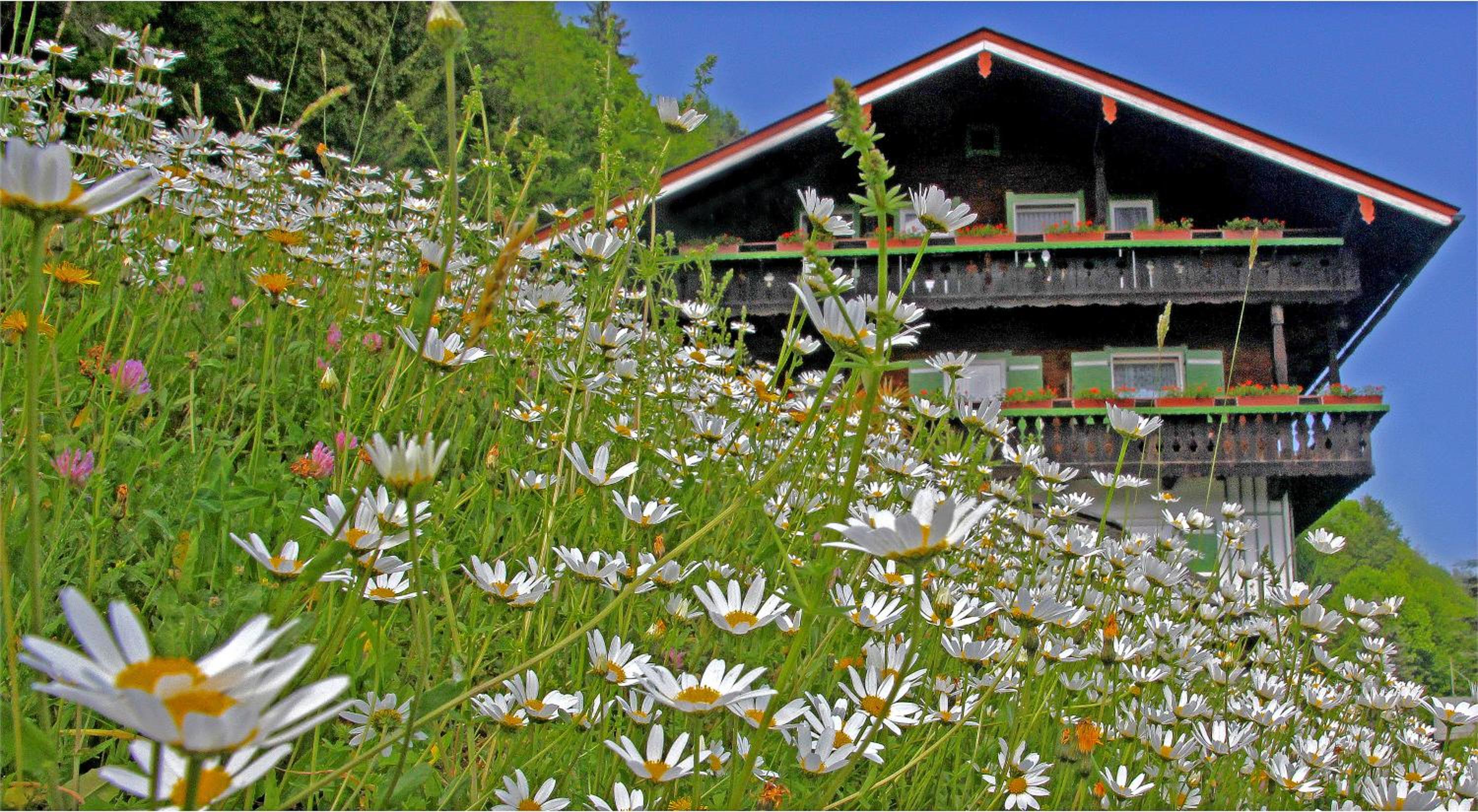 Gästehaus Bergwald
