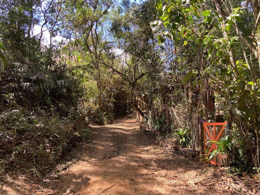 Bio Bangalô Floresta Amada view 4