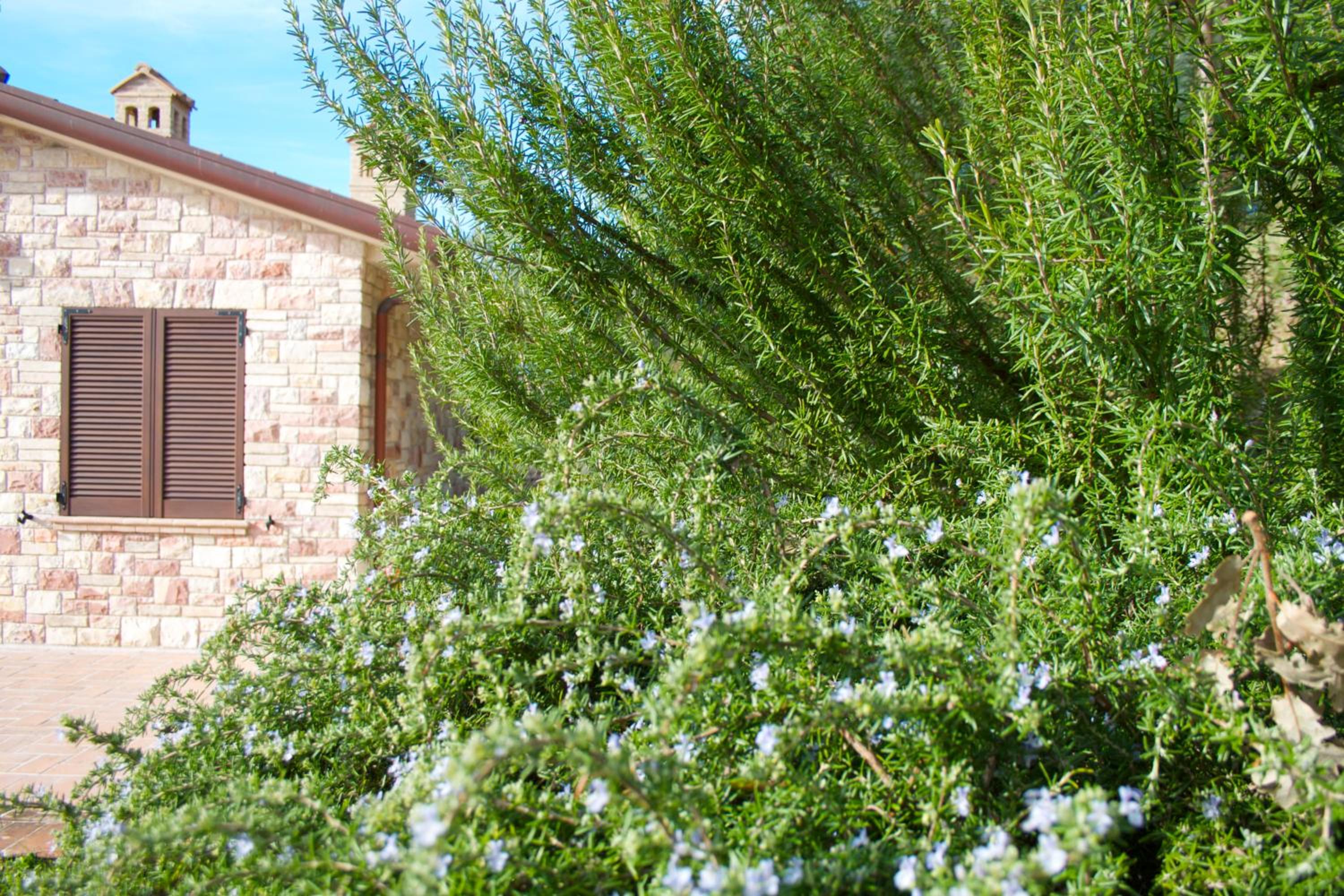 B&B Lavanda e Rosmarino en Assisi — other