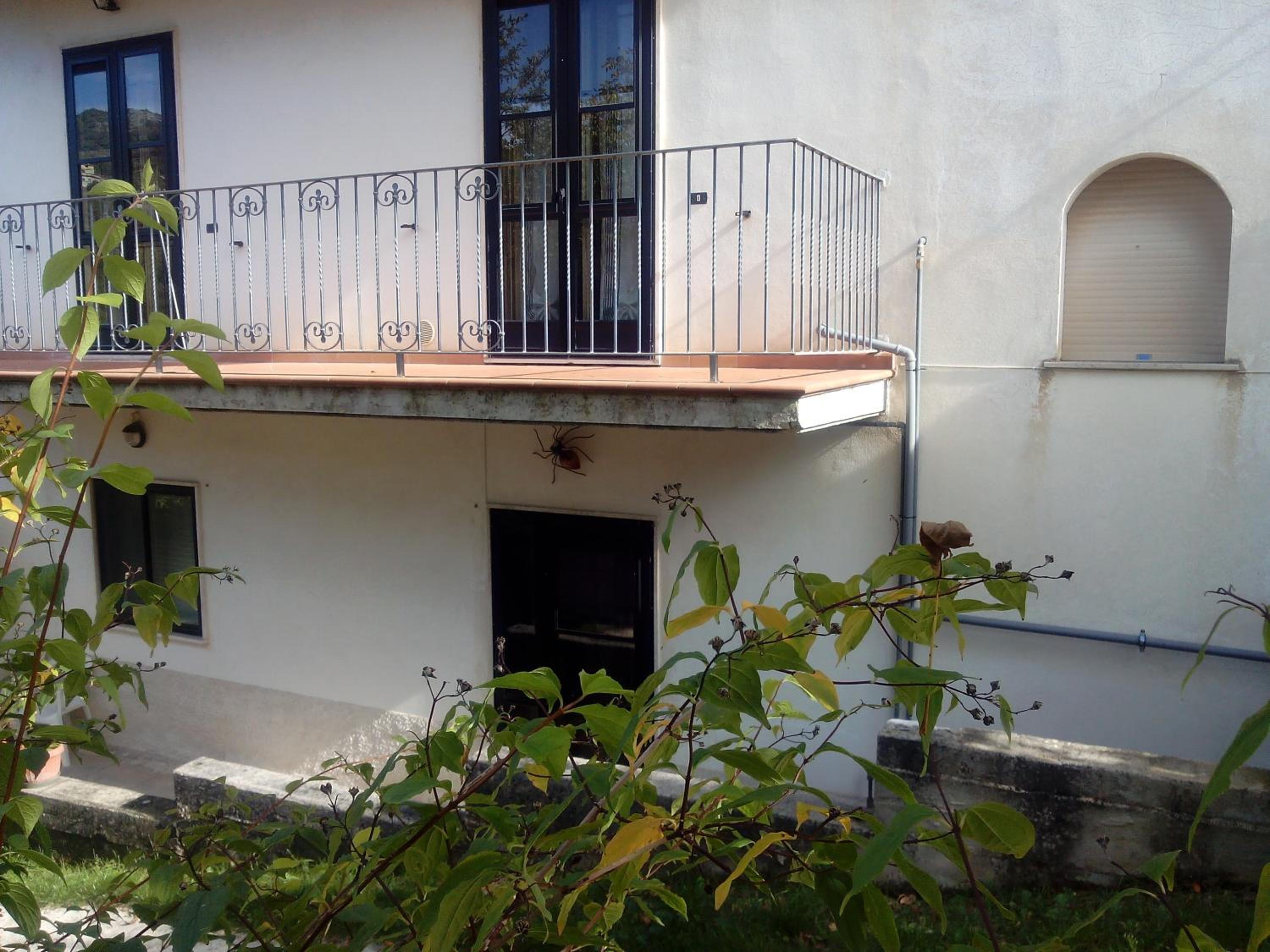 Photo 28