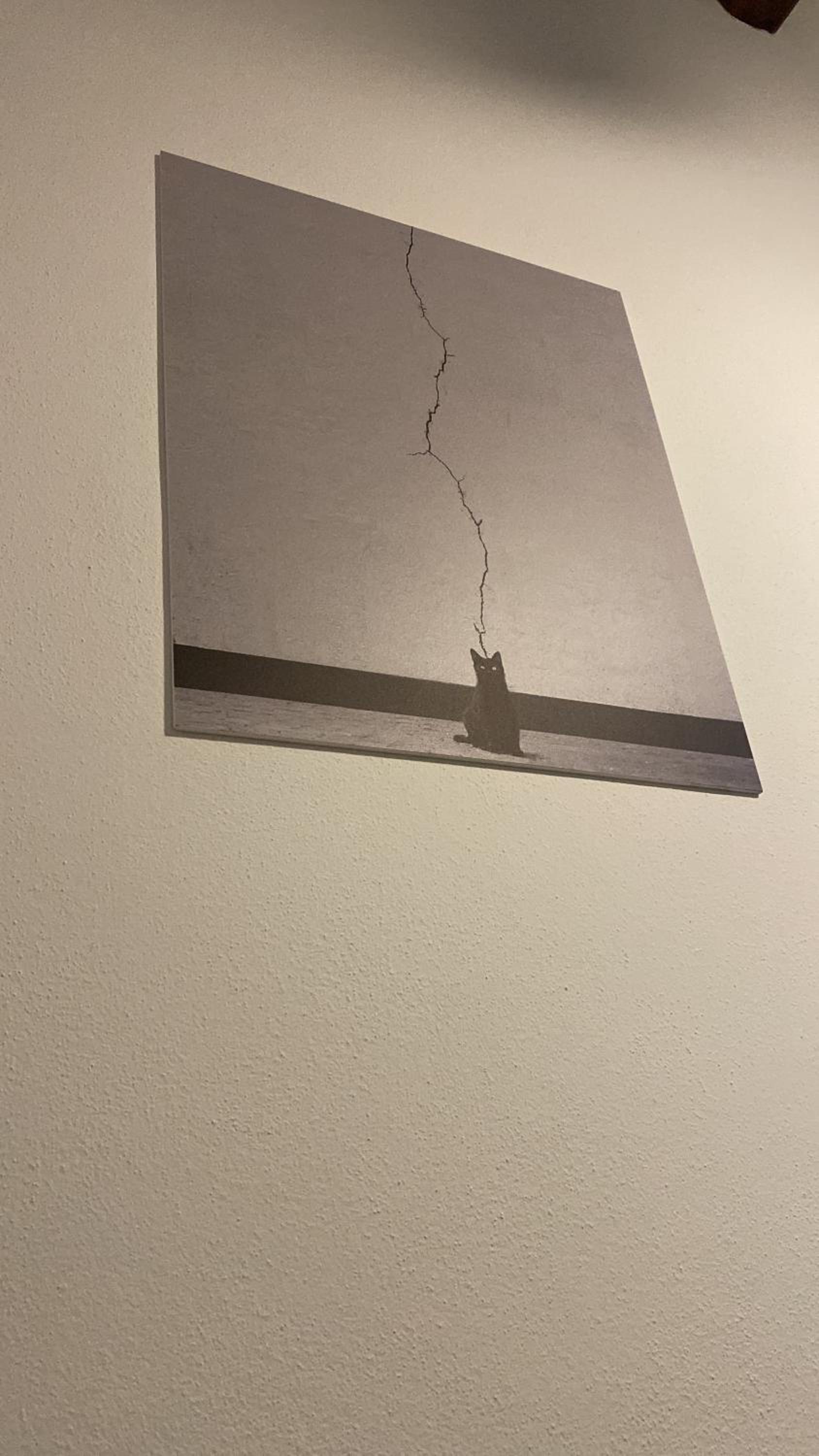 Casa Civetta photo 5