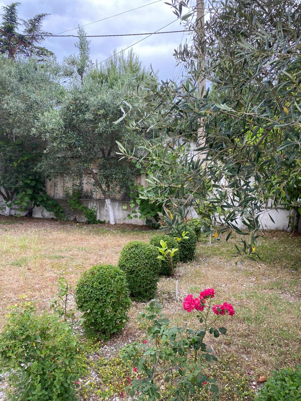Villa ITALIA