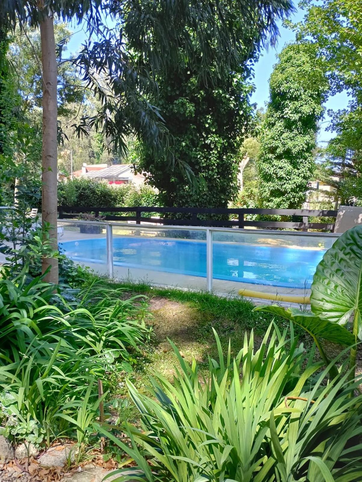 Cabañas Kuyen