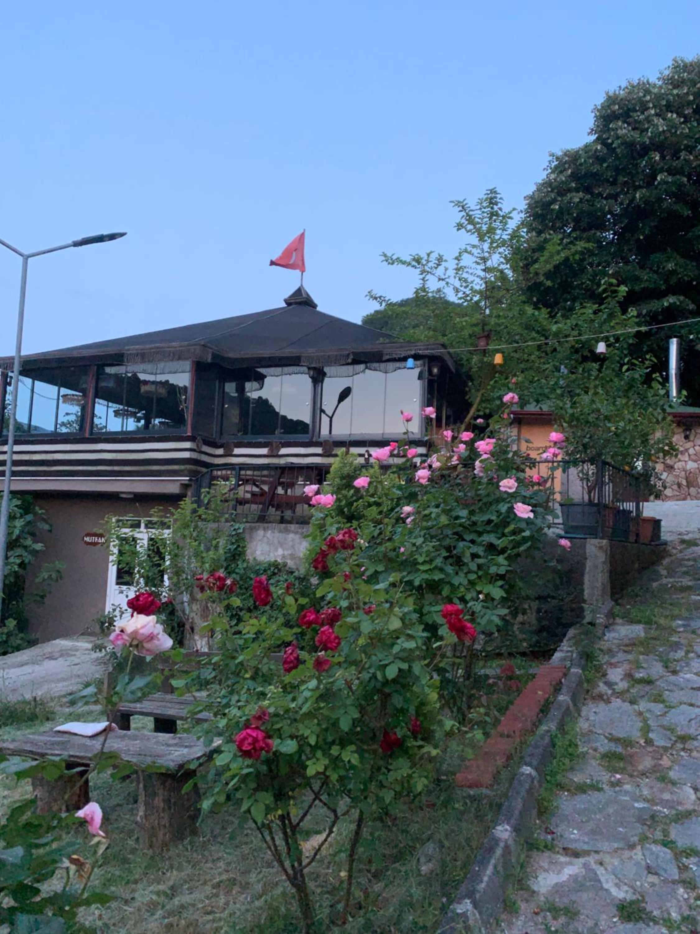 Photo 6