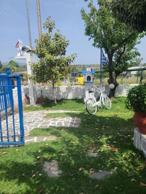 Myconian de Angelo photo 5