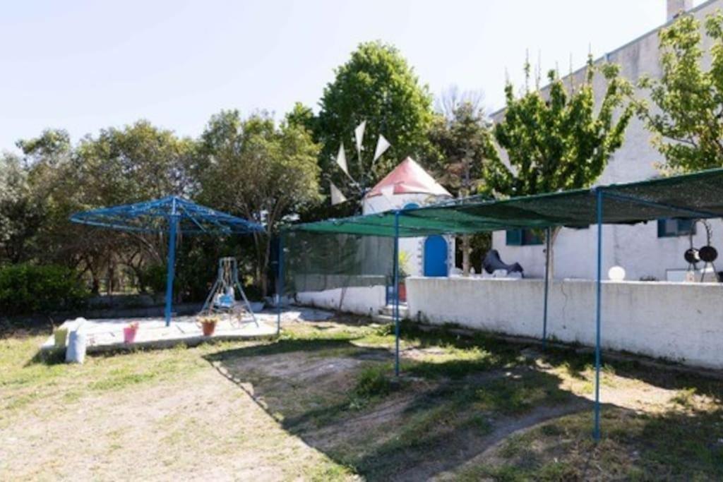 Photo 31
