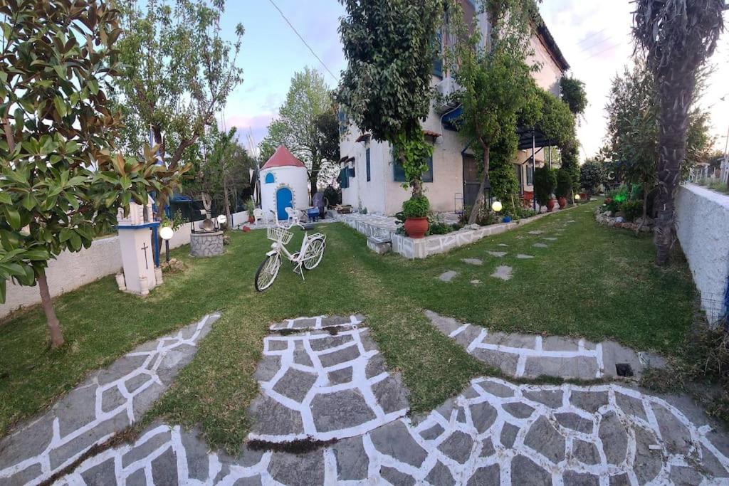 Myconian de Angelo photo 4