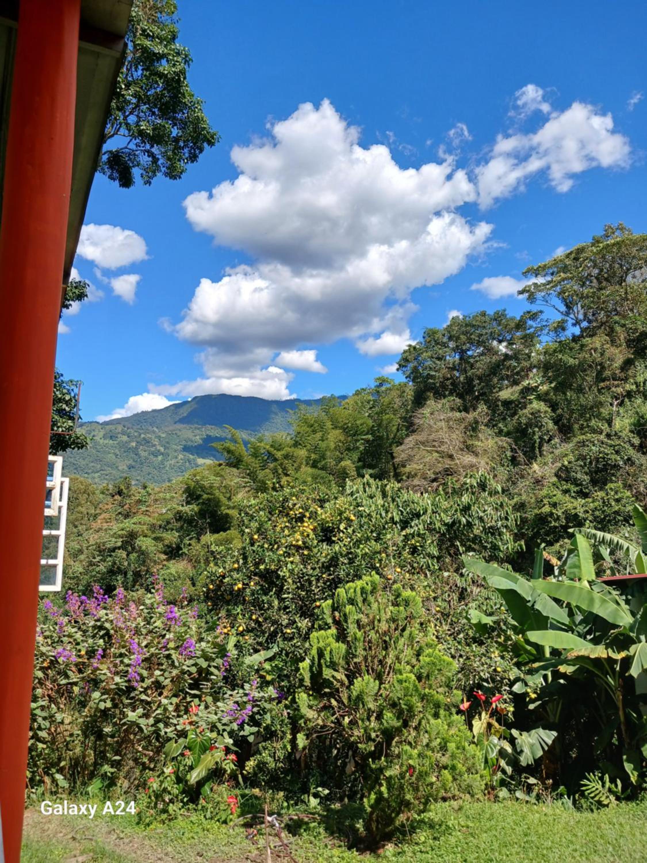 EL Refugio