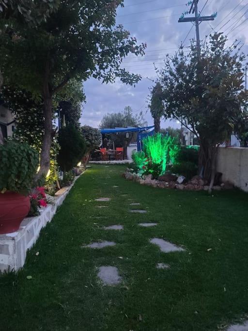 Photo 23