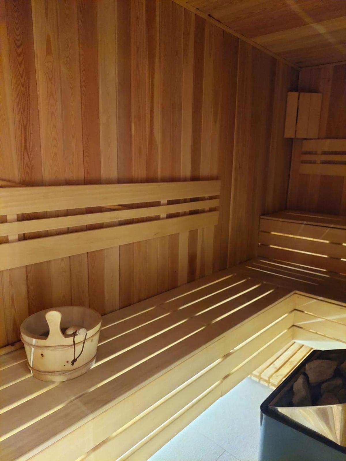 Unique Premium Penthouse with Spa and Garage in Dedinje