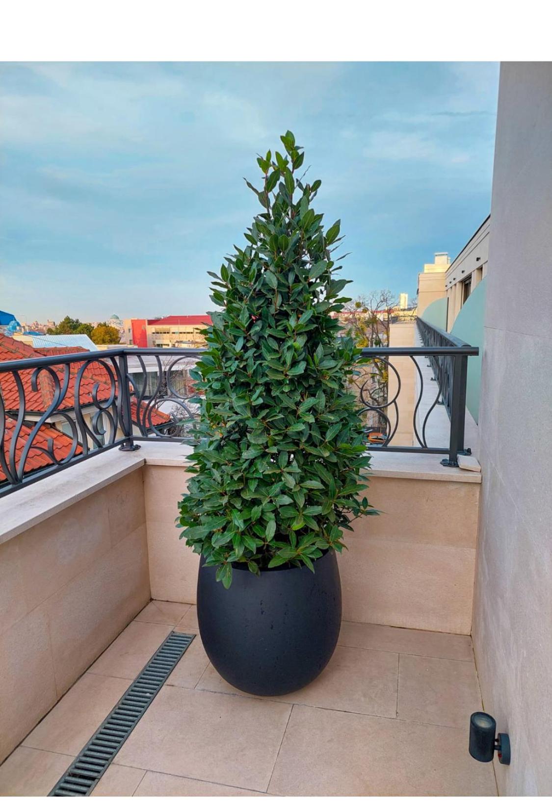 Unique Premium Penthouse with Spa and Garage in Dedinje