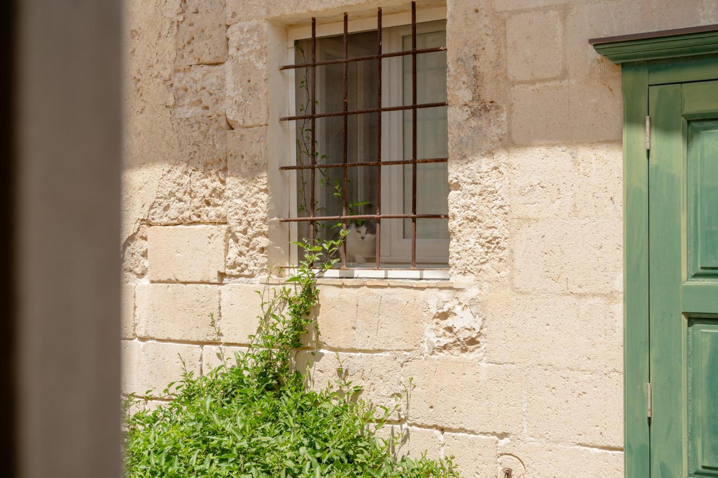 La casa di Sofia_Apartment