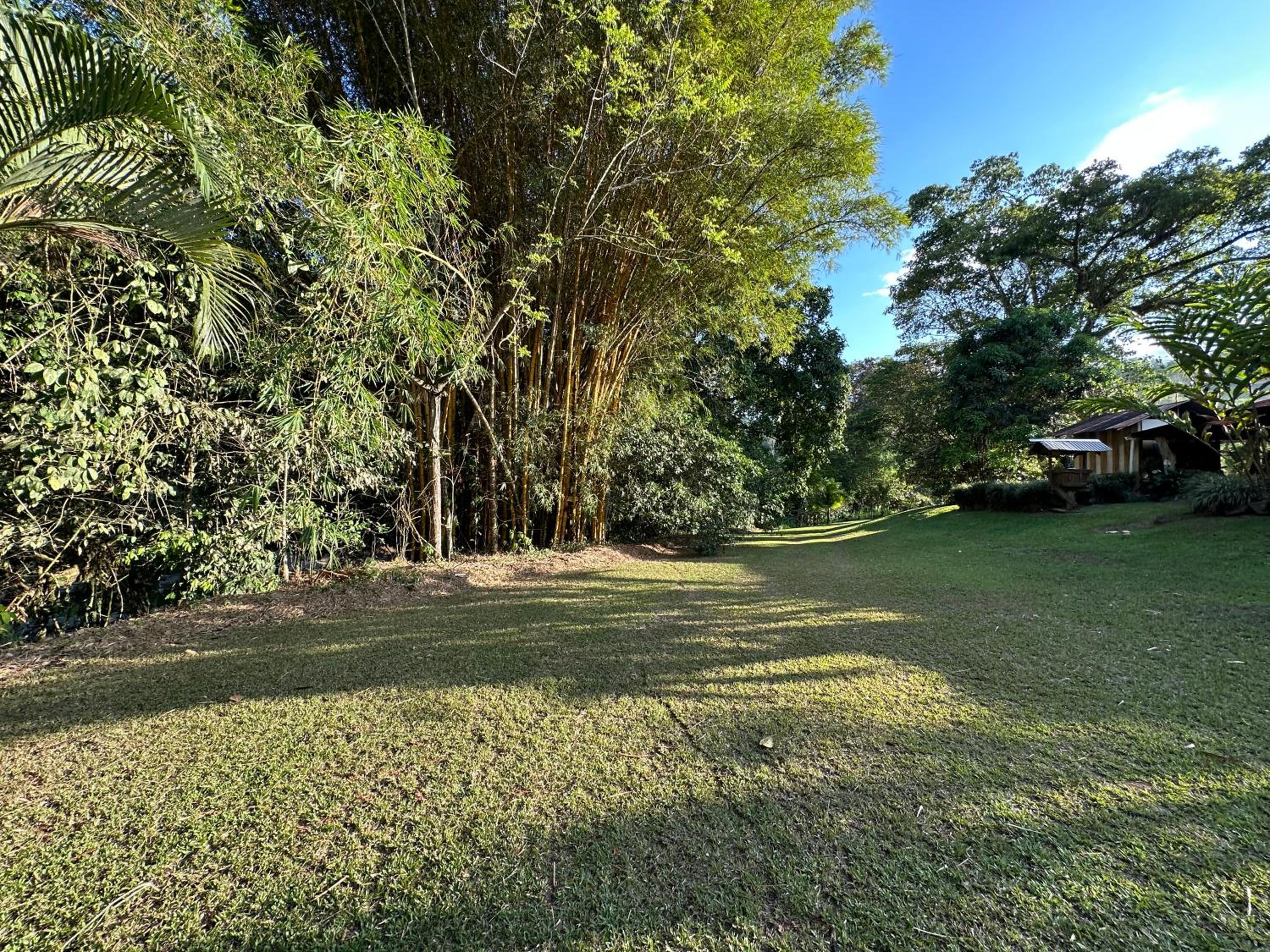 Cabañas Oso Perezoso