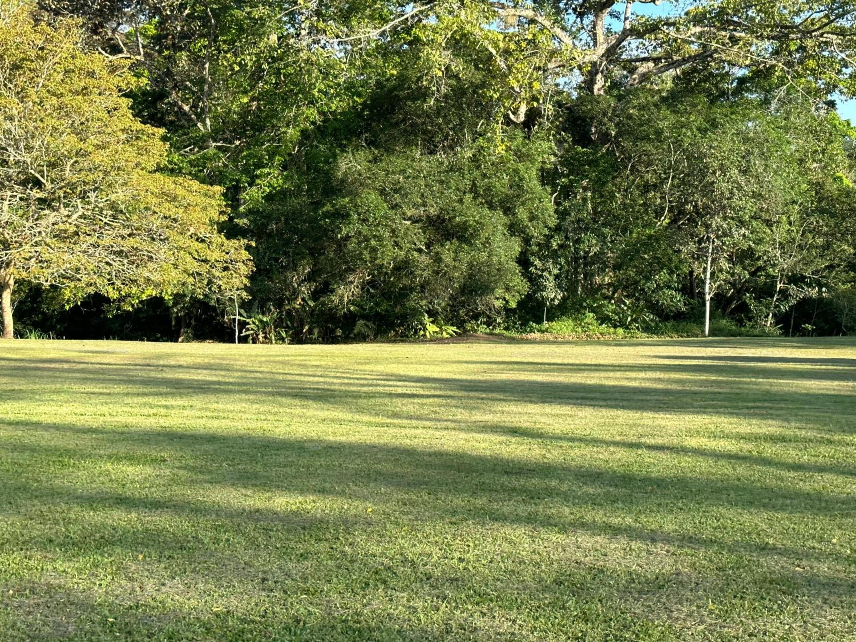 Cabañas Oso Perezoso
