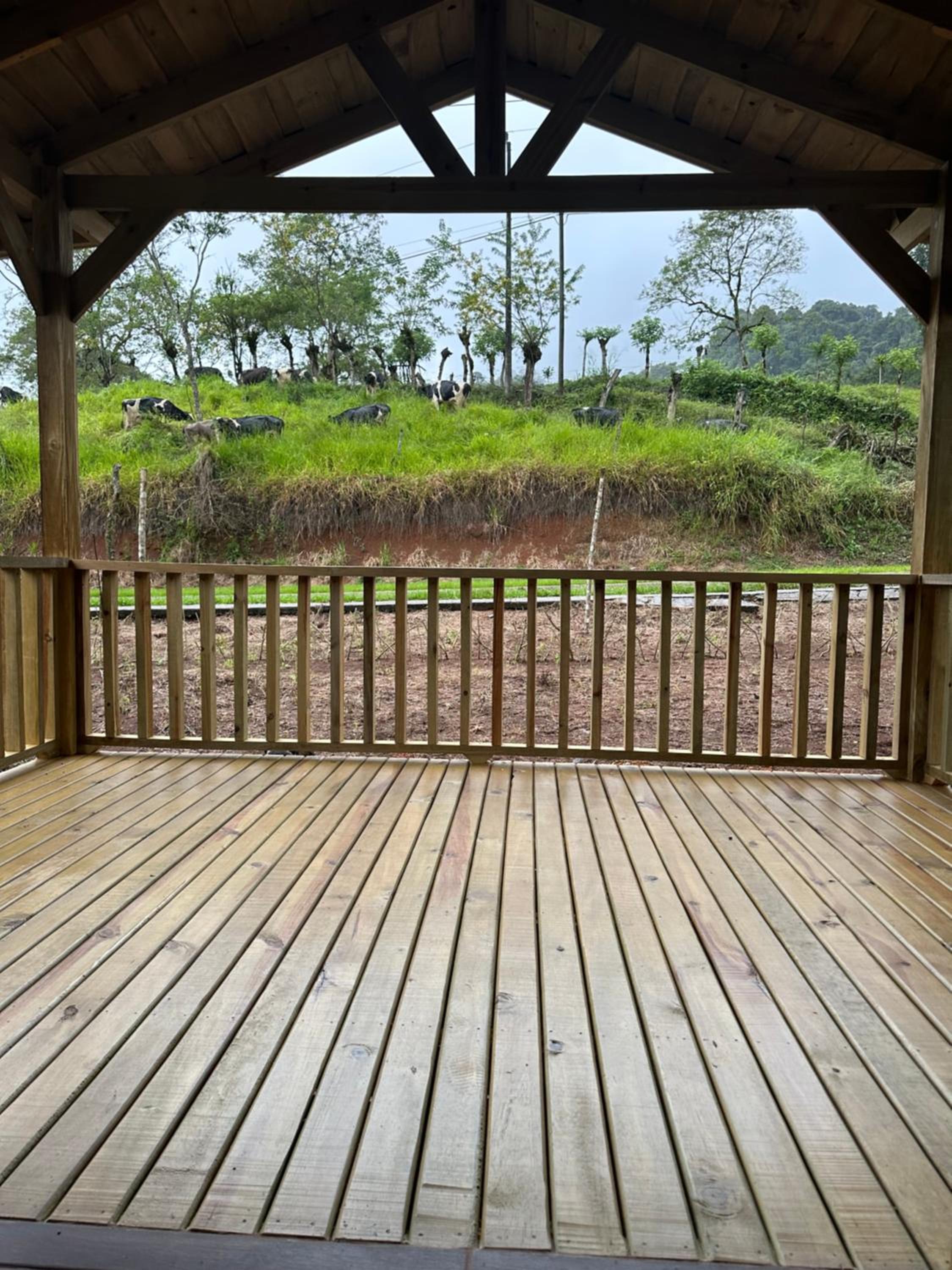 Cabañas Oso Perezoso