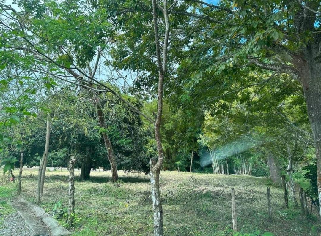 Cabañas Oso Perezoso