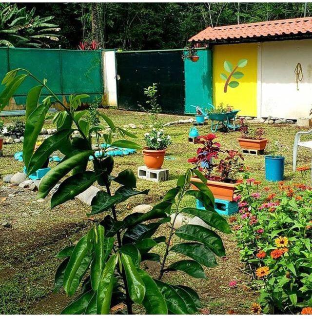 Casa Puerto Viejo