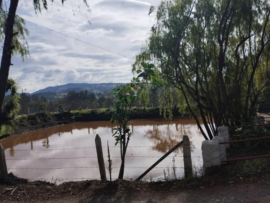 Cabaña Mandarina