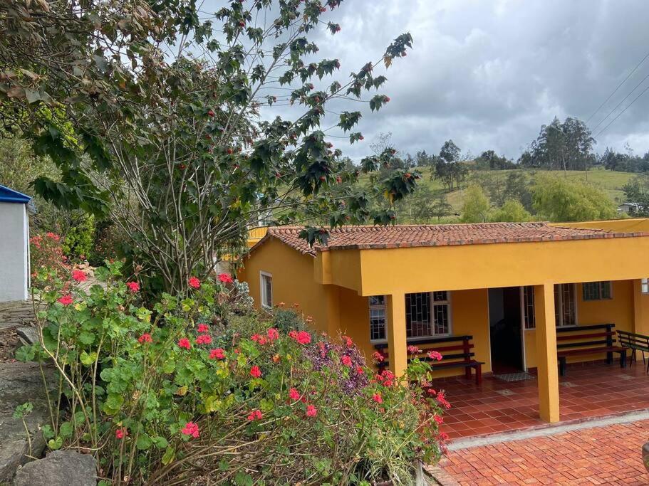 Cabaña Mandarina