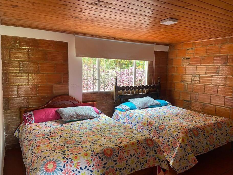 Cabaña Mandarina