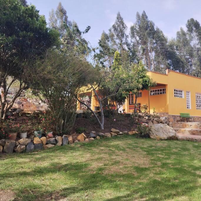 Cabaña Mandarina