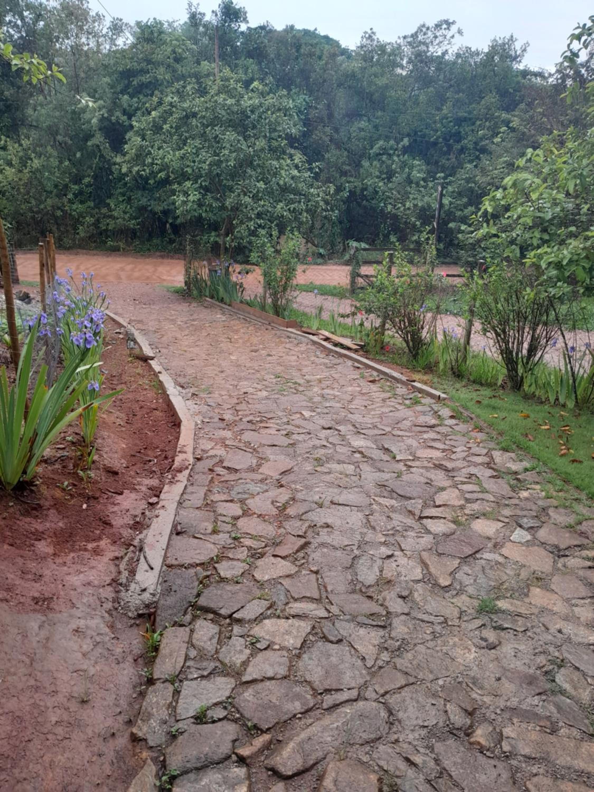 Encanto das Borboletas