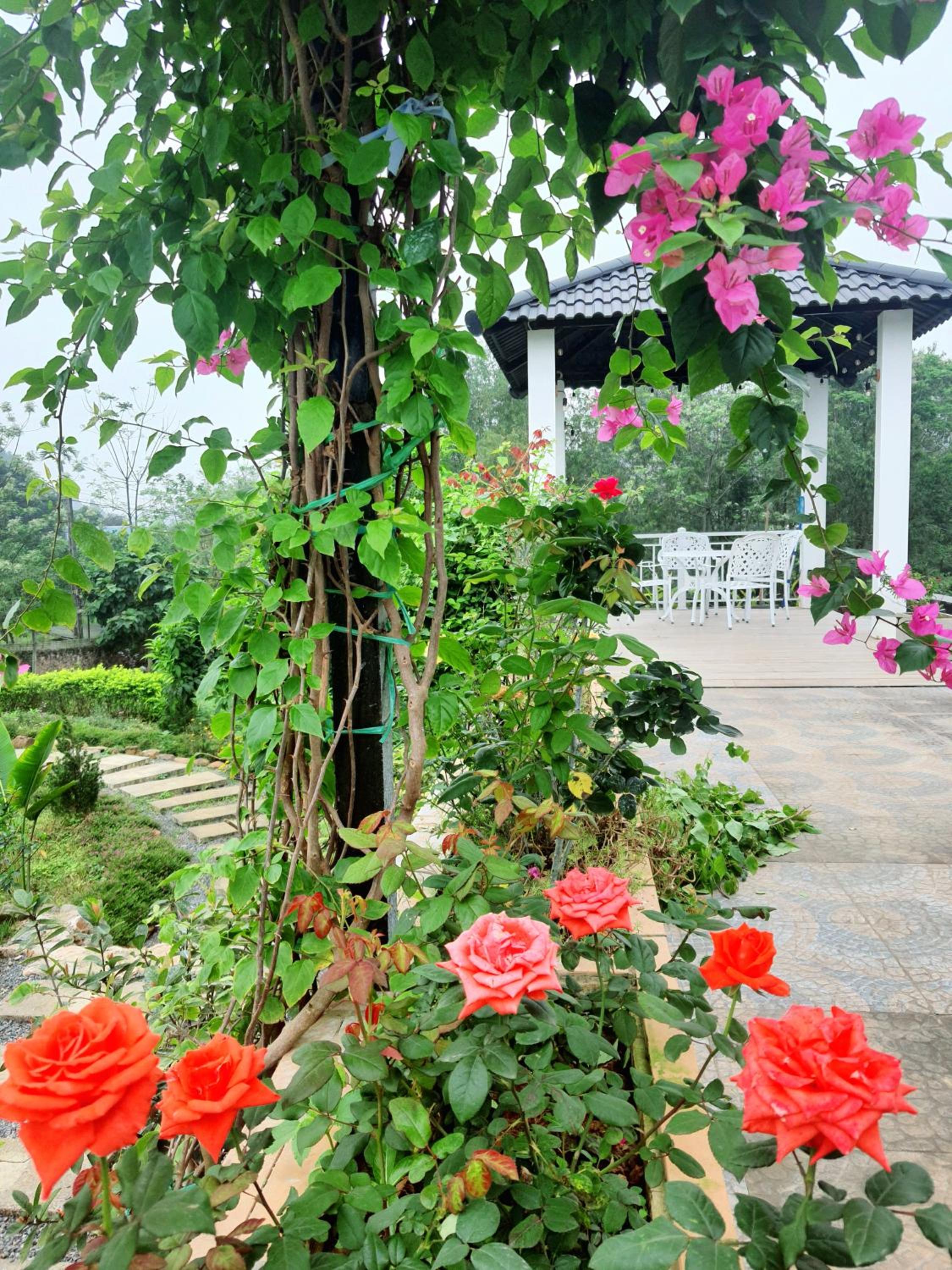 Ben's house lương sơn hoà bình view 5