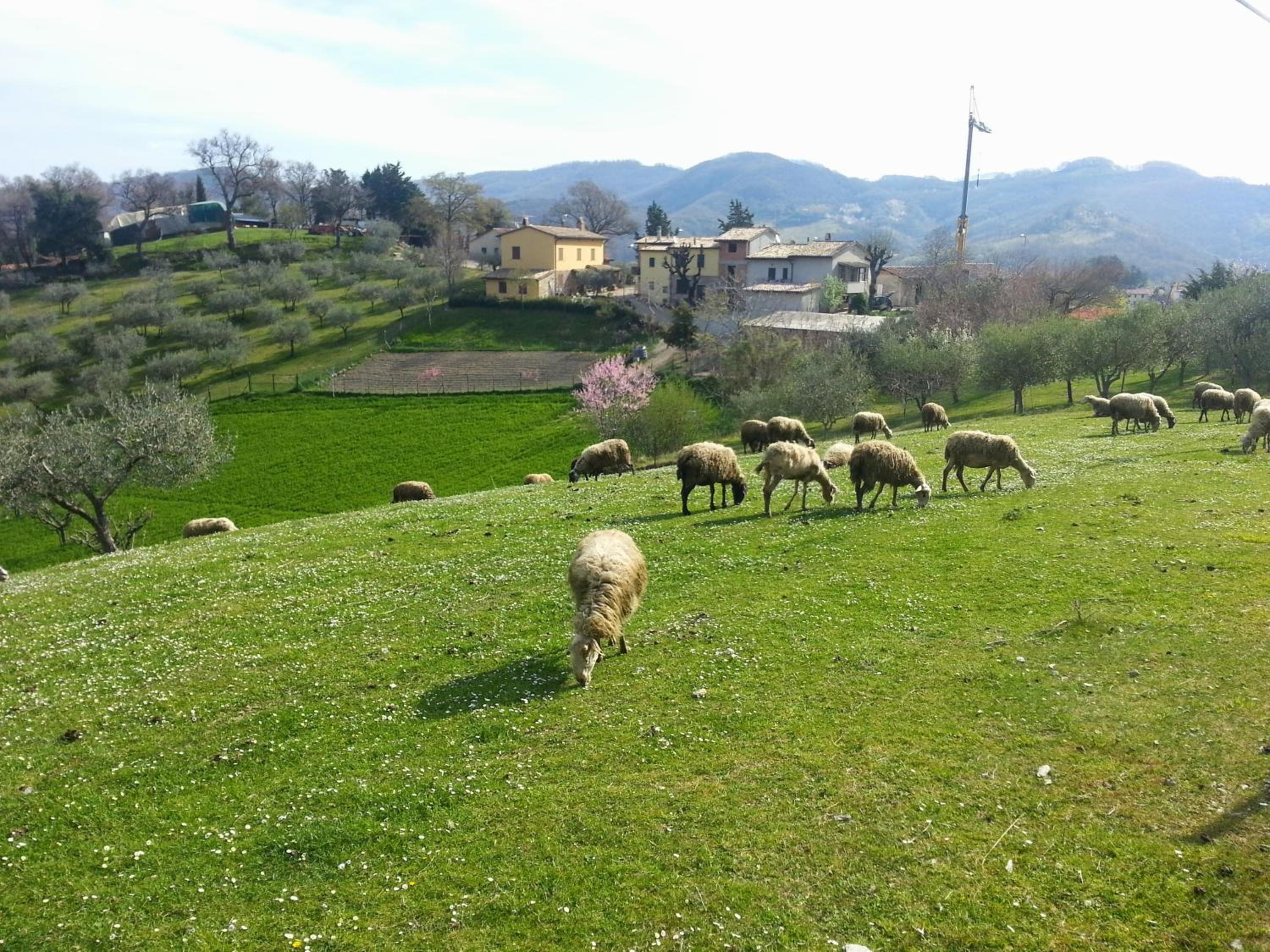 Photo 21