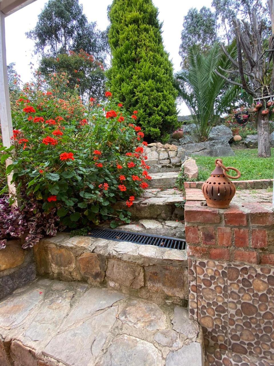 Cabaña Mandarina