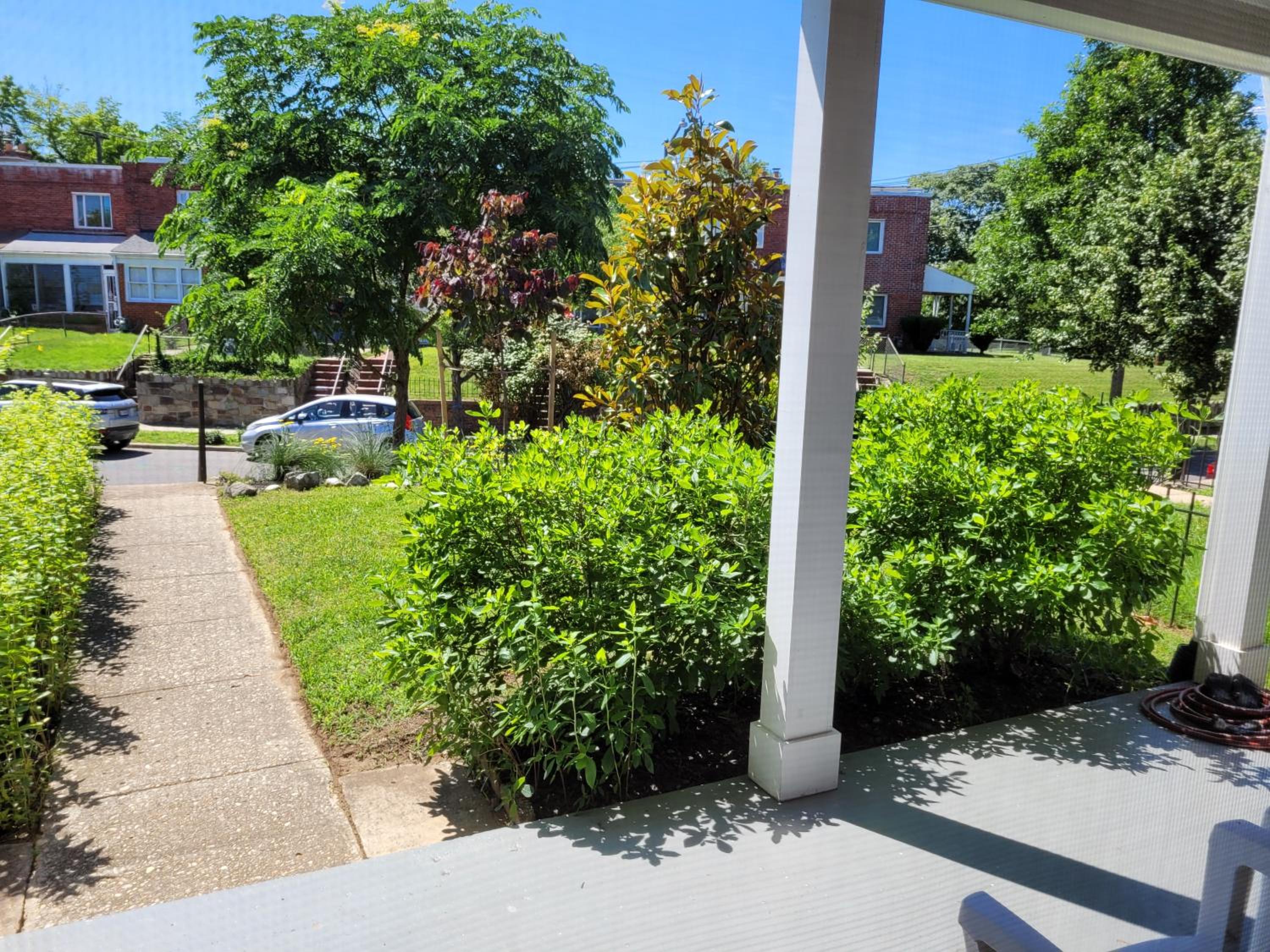 Capitol Hill Adj Home with Free St Parking & Metro Access view 3