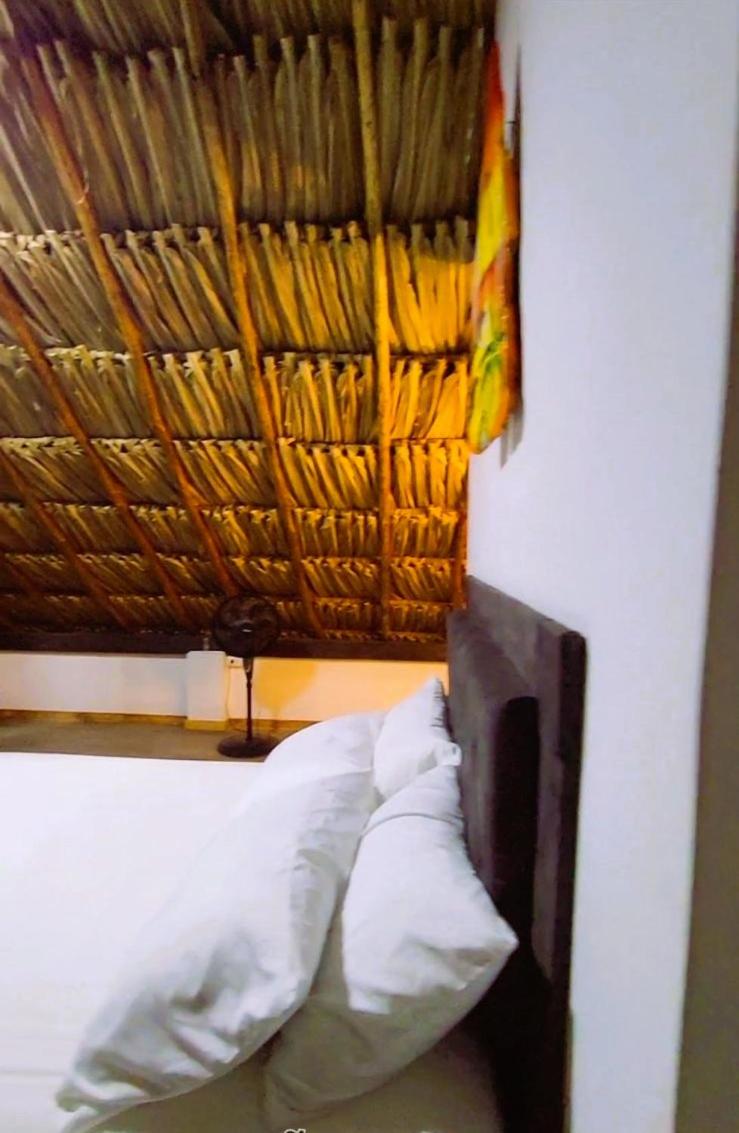 Cabañas Barikoke-Kokomo
