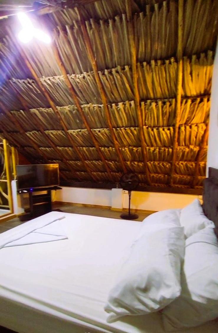 Cabañas Barikoke-Kokomo