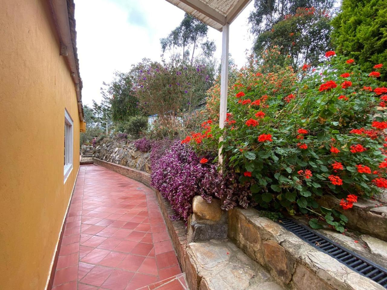 Cabaña Mandarina