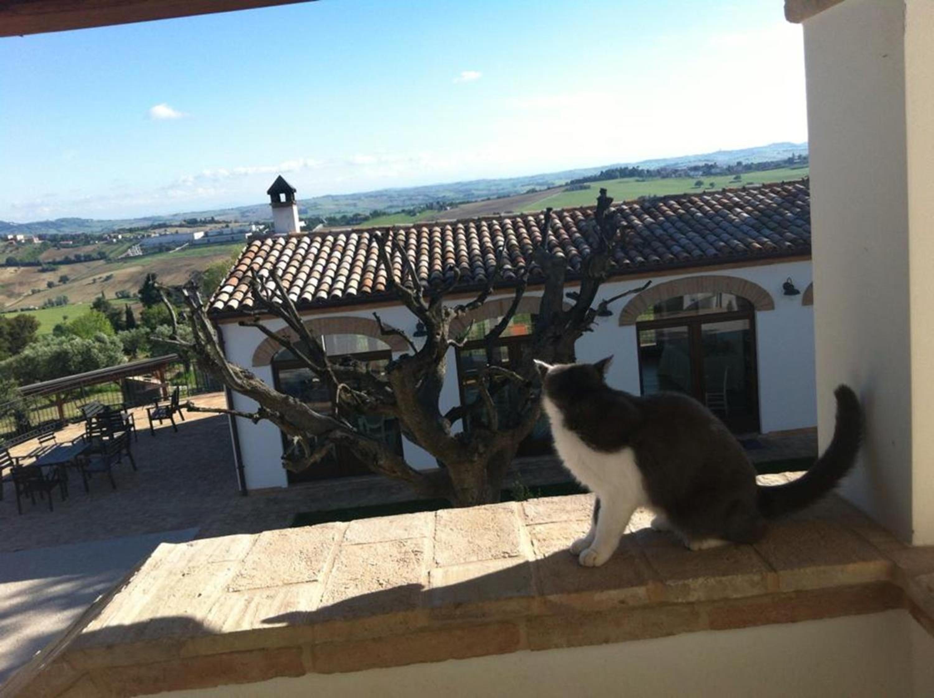 Villa Coralia Agriturismo