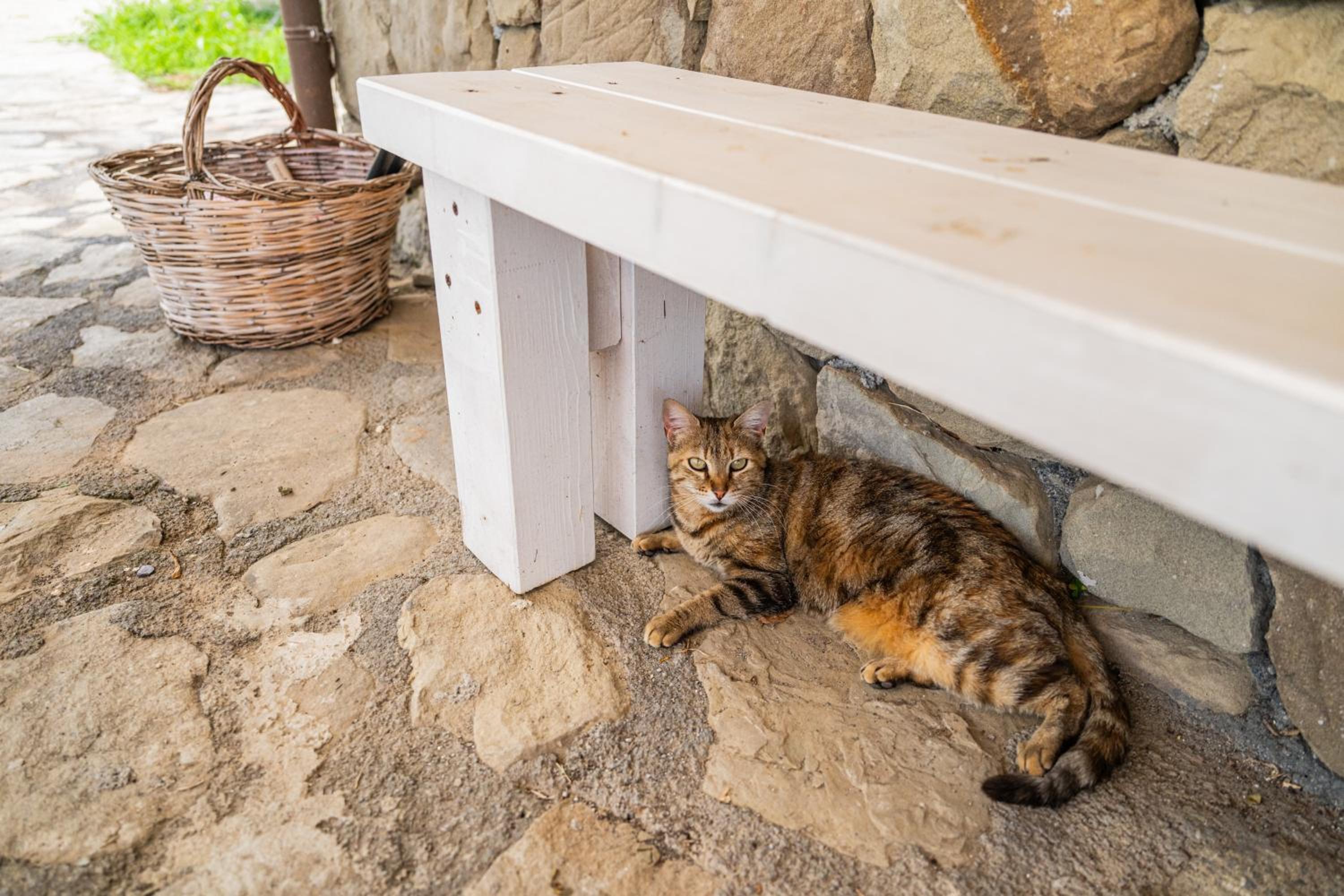 Sicily Stone Cottage with swimming pool