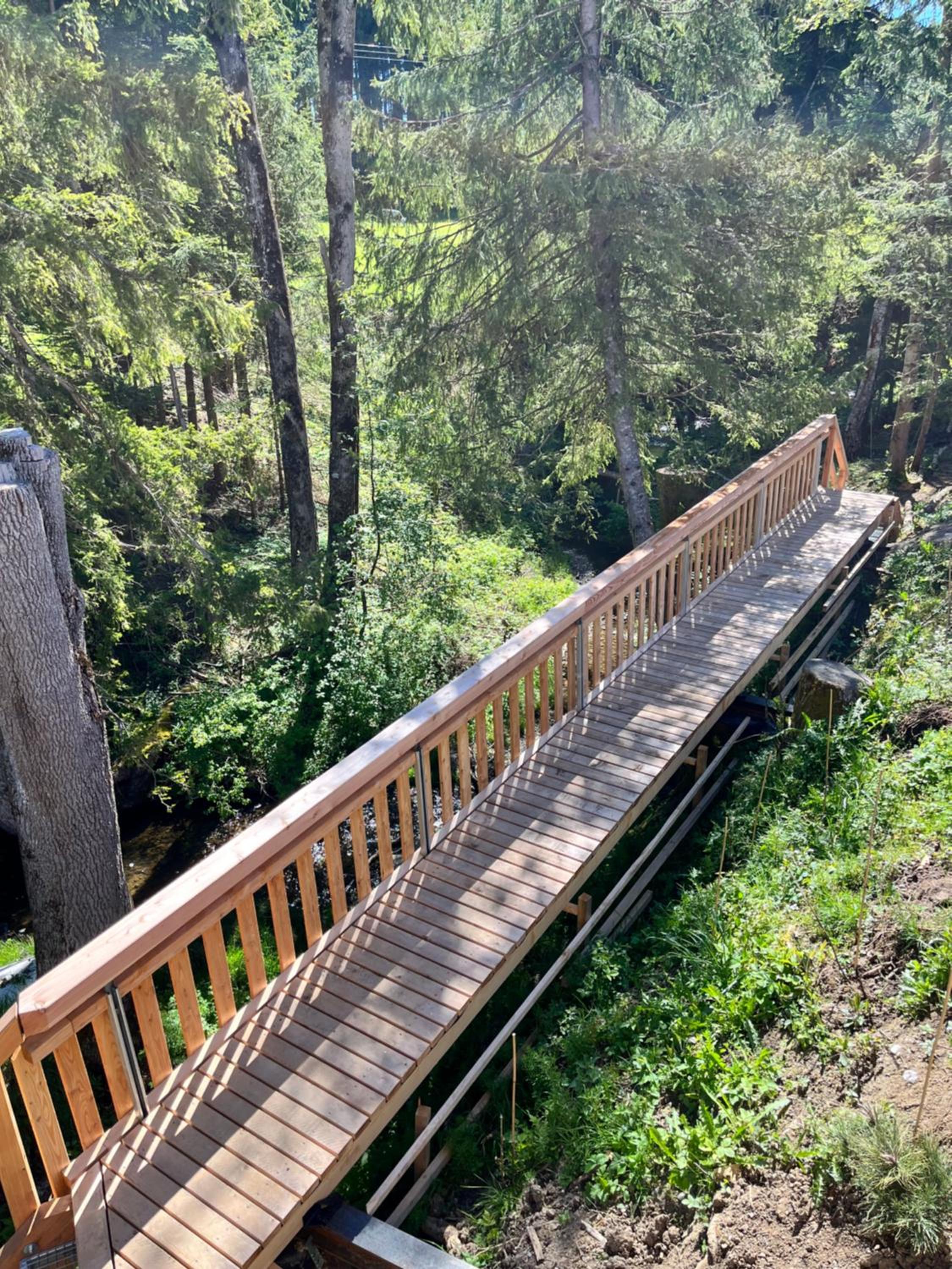 Wald ist Zukunft